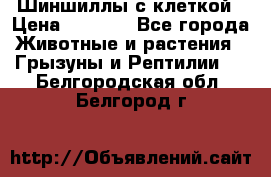 Шиншиллы с клеткой › Цена ­ 8 000 - Все города Животные и растения » Грызуны и Рептилии   . Белгородская обл.,Белгород г.